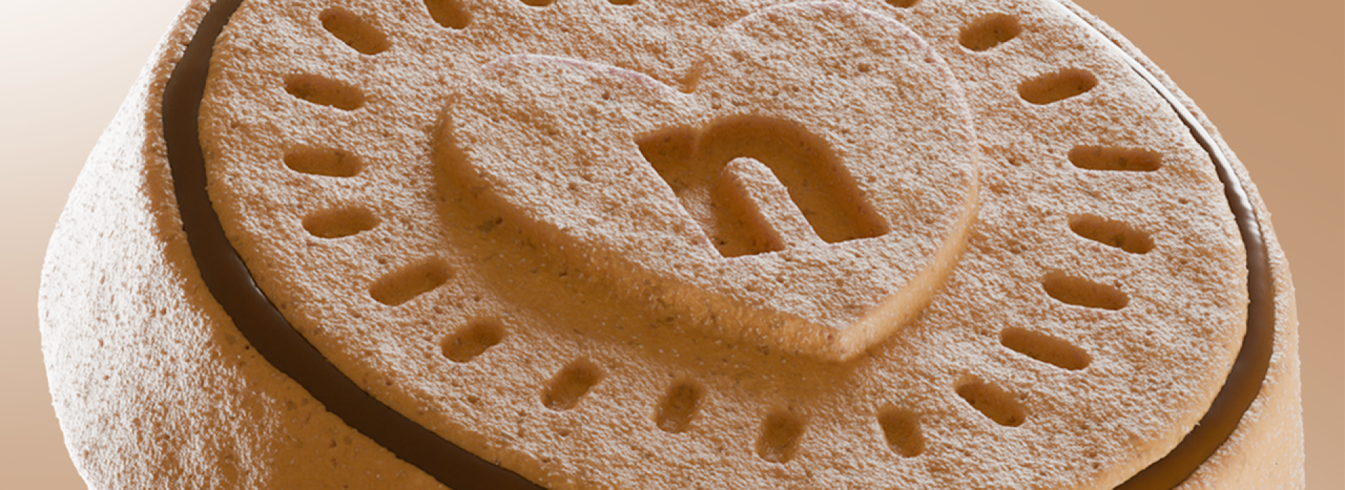 3d render biscuit